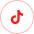 TikTok Icon